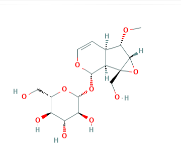 6-O-甲基梓醇