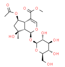 6-O-乙酰山栀苷甲酯