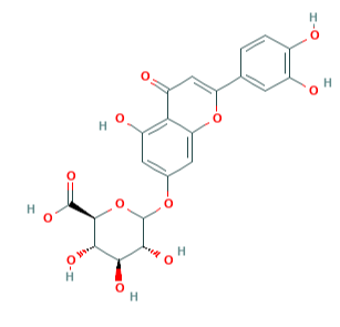 四羟黄酮-7-beta-D-葡糖苷酸