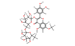 鼠李素-3-芸香糖苷